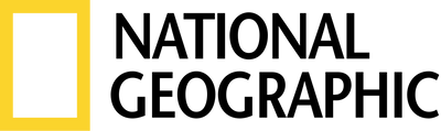 logo 10